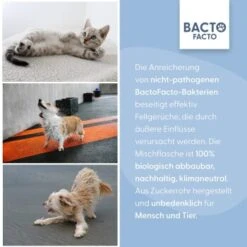 BactoFacto Fellpflege Spray -Hochwertiger Tierbedarfsladen 30b14586b3a3474b0cfce5fc7df4afffc88c5118 1408996 de DE 0500f7acce4be40f22c19f011f98967543a70717VmmbpR