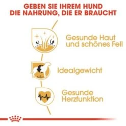 ROYAL CANIN Cocker Adult 12 Kg -Hochwertiger Tierbedarfsladen 3134822eaac43dc61f1f6efc8f5aab330e7b06ad 6f556a24463fe429dab74ecc4fdcc054850746a6