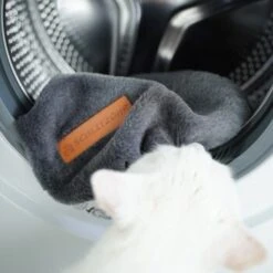 Schlitzohr Ersatzbezug Fensterbankliege -Hochwertiger Tierbedarfsladen 31be77f1e399f6136043e21b4738926da0a2a857 1484678 de DE ef0a822967d19fb8fa7e91c1bd57dd978a972d89UwPMnu