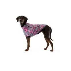 Ruffwear Climate Changer™ Fleece-Jacke Für Hunde Lila/ Grau XS -Hochwertiger Tierbedarfsladen 31d08c48d82e56fa988a8efaad00ce115bf58a1e 1369648 de DE 0f7eaefedef9dc647cc2252d60c10845d7c68c4e58IpMU