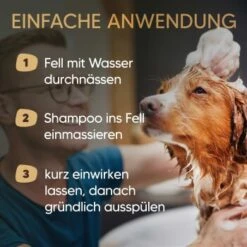 Pawlie's Hundeshampoo Für Langhaar -Hochwertiger Tierbedarfsladen 31fb70412552456c4a02729fa462588fcf0d4e5b 1626203 de DE 25d5ddf898b492fba858f49f2f6f7a8a36500b93qNDG8c