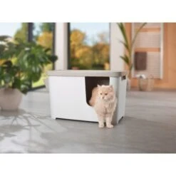 MORE FOR Katzentoilette XXL Titan 10 MORE FOR Katzentoilette XXL Titan -Hochwertiger Tierbedarfsladen 331a65ecbdbda6a54304894f23caf93293414f9a 41a7dcb3b92b8da7531785b268f381c1b25bbf04