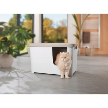 MORE FOR Katzentoilette XXL Titan 6 MORE FOR Katzentoilette XXL Titan – Bild 4