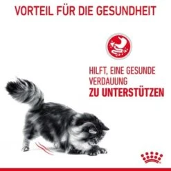 ROYAL CANIN Digestive Care 10 Kg 16 ROYAL CANIN Digestive Care 10 Kg -Hochwertiger Tierbedarfsladen 33836b78e4dfe5d72c6cf6742ac3f6af2f72a25c 1084985 4