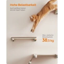 FEANDREA Clickat Katzenbrett Für Die Wand -Hochwertiger Tierbedarfsladen 338ade66aef20441d84c6879cbb7cdd9f229234a 1681427 de DE 49f3284dc1e7752ec473d61a07cc5870214b5201yzDhq7