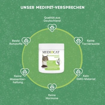MediCat Ulmenrinde Paste 4 MediCat Ulmenrinde Paste – Bild 2