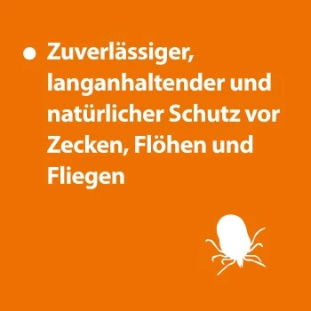 Ardap Zeckenspray Zur Anwendung Am Tier 250ml 4 Ardap Zeckenspray Zur Anwendung Am Tier 250ml – Bild 2