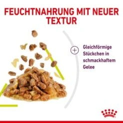 ROYAL CANIN SENSORY Smell In Gelee Für Wählerische Katzen 12x85g -Hochwertiger Tierbedarfsladen 3469e2789c9f64bff26f87bbac39ba0a4ed440ea 45f33cf5dbb691236fc67f7b11a07842abb35bb4