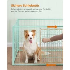 FEANDREA Welpenauslauf 4-teilig Schwarz Mintgrün -Hochwertiger Tierbedarfsladen 35628eced21c5b790a038ff766d6461fd7692ef2 1500915 de DE 85cc3af176bad61013c5779ea5a3c5652966689aKZhajB