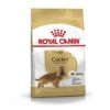 ROYAL CANIN Cocker Adult 12 Kg -Hochwertiger Tierbedarfsladen 35b692965af79cafa0db2d2124d40d0740ee8bc1 1061209 de DE RCneu