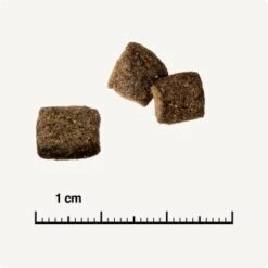 REAL NATURE WILDERNESS Adult Mixpaket Mixpaket 1, Mix-Pack 12 REAL NATURE WILDERNESS Adult Mixpaket Mixpaket 1, Mix-Pack -Hochwertiger Tierbedarfsladen 38c9fddfde6e364977836a7419845bd5679c428a 1267097 de DE 6 savannah 1173938004