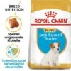 ROYAL CANIN Jack Russel Terrier Puppy 1,5kg -Hochwertiger Tierbedarfsladen 38eb9be6c5b1ff0ed67f9a6046499c0ea26ec793 4aa5e32ecc3d8f4971ae38edd86bcabaffb97a59