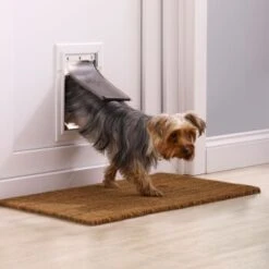 PetSafe Klappe Flexibel Mit Aluminiumrahmen S -Hochwertiger Tierbedarfsladen 3a4c2a19720a9a02b32c92c047cc7d6642c51178 c4fcf5d267163feee43df5581a8f62f90db05124