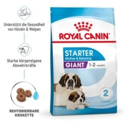 ROYAL CANIN Giant Starter 15kg -Hochwertiger Tierbedarfsladen 3beccea1b7a54f071e3de1ab111abf9f755358d0 3182550778831 1
