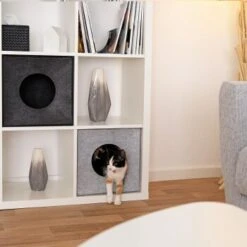 Lionto Katzenhöhle Aus Filz, Regalhöhle Hellgrau -Hochwertiger Tierbedarfsladen 3c5d584027a6e3b26513e541aa58d28bf163eba5 1657088 de DE 08ba330c4edc4dd9925351943ddeb35e95610dc5ibJstM