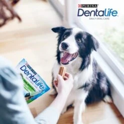 DentaLife PURINA Hunde Zahnpflege-Snacks Großpackung Medium, 84x -Hochwertiger Tierbedarfsladen 3d22bf74a99660236ce1548620fac8aa3ac8818f 7dac1d18ca011066644ad899fee9fa3bcb5974f5