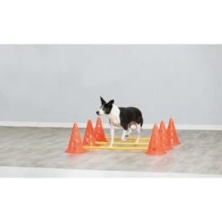 Trixie Dog Activity Hindernisse Ø23x30cm -Hochwertiger Tierbedarfsladen 3deac15f582ad479ed22e5c84e054ac5f037fdc8 1287032 de DE Trixie Hindernisse wb 2