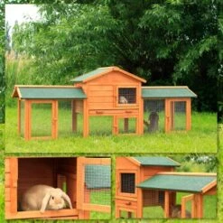 Lionto Kleintierstall, 212x52x85cm -Hochwertiger Tierbedarfsladen 3e2307cf4cca07e4b383646a28a2024abb5ff4b9 1498014 de DE cacdc7f5a12aa45424ba09cf7083871463e069bb4Y71O7