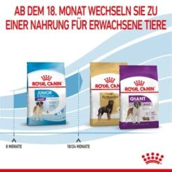 ROYAL CANIN Giant Junior 15 Kg -Hochwertiger Tierbedarfsladen 3f0f320cf0514c60e2d60f64a366dd987cd444ca 3182550707077 7
