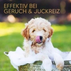 Pawlie's Welpenshampoo -Hochwertiger Tierbedarfsladen 42f9c58257fb2002e5c33c2d81bd829c9adeb1cc 1626204 de DE 8b17d3990cf88ea437c76c60b6848183bc9636a5a44ihJ