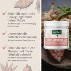 Aniforte 4in1 Complete Cat 60g -Hochwertiger Tierbedarfsladen 433174568e18224fd341b5ca349c776d85d96ab2 1332844 de DE 0aa93cc915c5d5bb812b052b88179a1f5f51f297zDGJEt