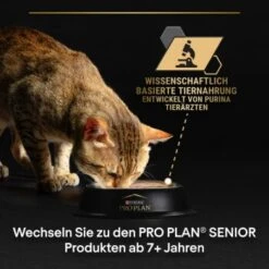 PRO PLAN PURINA Delicate Nutrisavour 26x85g Truthahn -Hochwertiger Tierbedarfsladen 49b19f80d8af85019f113570d163ed471ad079aa 1361780.fb6