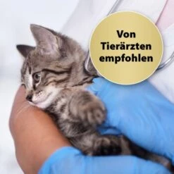 Felisept Home Comfort Beruhigungshalsband Für Katzen -Hochwertiger Tierbedarfsladen 49f63f3eec6617dbc795d98ab15477ddca010d3a 1238279 de DE Felisept 2