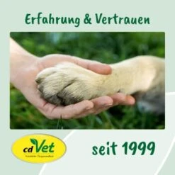 CdVet EnergyUp 450g -Hochwertiger Tierbedarfsladen 4a176b03b4ab590e354de99dc1cb9c967e9a4b12 1667440 de DE d650bdda4d7bf1b92f4f6fc1b781381a15c0d65dhz1m5X