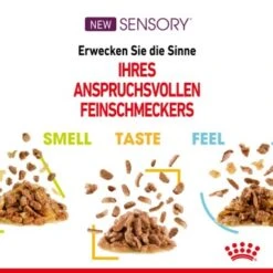 ROYAL CANIN SENSORY Smell In Gelee Für Wählerische Katzen 12x85g -Hochwertiger Tierbedarfsladen 4a632532d23d065e189b82401db5c561b6749e74 bbe7e159ee2cfcc0155771b211da953377ec5c40