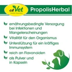 CdVet PropolisHerbal 20g 20 G -Hochwertiger Tierbedarfsladen 4a7efe6ef39282013962edb4cdfff7ab064f50b7 1410702 de DE 9b563d2bb5da29720c09af2146e96e196b550558zVf5j7