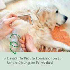 Fell & Haut Vital 150 G -Hochwertiger Tierbedarfsladen 4b5f7de965eae94531d5560734f33444a0071a93 1049905 de DE 2d1bc3a540575105062fbc54df85eb515b459321CnG7ce