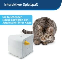 PetSafe Automatisches Katzenspielzeug Cheese -Hochwertiger Tierbedarfsladen 4bf213762b84458348ad4dde222bccd0d8e6f0a8 1418723 de DE 66b781419c3a9a05dbaecf1b142c67f8ea6f21fbRLCfdd