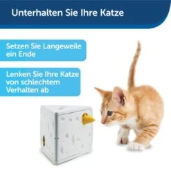 PetSafe Automatisches Katzenspielzeug Cheese -Hochwertiger Tierbedarfsladen 4c112de7fe5af21942e197c5273a2c12e4aecd5f 1418723 de DE ac6350c5fa35502dd40d2834518255dfc3ab3dc68jakb9