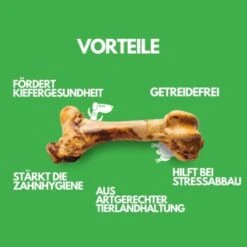 Irish Pure Giant Beef Bone -Hochwertiger Tierbedarfsladen 4d4fa3e51f5eba9dee5c6d548397f1165265d5f0 1288899 de DE 31340ea7fffb1e1bff4f23a195943f7255dbb495GgNMBw