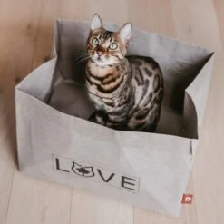 Canadian Cat Company Katzenbett Winnipeg -Hochwertiger Tierbedarfsladen 4f163c23f3c00759be25633fb22100eb50b10eed 1360995 de DE e27163ea0c21fd571c9e22268b69a4d1b68affe5UBt2yy