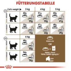 ROYAL CANIN Ageing 12+ 2 Kg -Hochwertiger Tierbedarfsladen 50b3c838d5d21d1b917bd2a34ef54691565d1bd7 bd4918ff5f6d0c4d1cc754a091c66c5be6459815