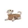 Lills Lill's Hundebademantel "Sand" 30 Cm -Hochwertiger Tierbedarfsladen 52f46aa046711d6de7280303fcb834616d411963 1488040 de DE afdddd80a29bcf00bf2e5fcfa25851139dc3a8fdeqvcK6