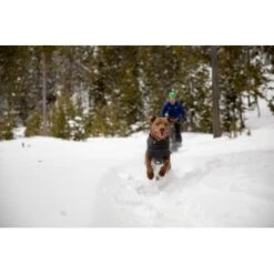 Ruffwear Climate Changer™ Fleece-Pullover Für Hunde Rot S -Hochwertiger Tierbedarfsladen 535cabacaeabf49aa3494b71adfef12f9eebb3a3 1369661 de DE 7a5c8e78f67f43ebb4ef19e792a83af13c77436dTtVXa2