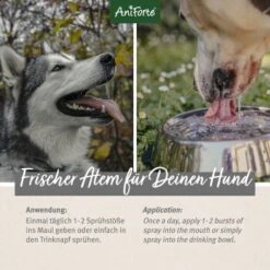 Aniforte Dentalspray Zahnpflege Spray 100ml -Hochwertiger Tierbedarfsladen 5407327dc1ff8b3c62918c78a261300c797ac1a5 1439278 de DE d65d8e1ebeada7690aae8d6a4c6fc70cb3dbb3e9igaN3s