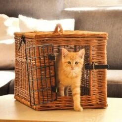 Aumüller Katzenhöhle Eckig -Hochwertiger Tierbedarfsladen 55450489d235d9ce83ff96cc8b4e3c05d5f9850a a4c4ea7cad20b9a0abc8b1ae89e0fbac9d4fe21f