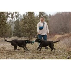 Ruffwear Pacific Ring™ Spielzeug Blau/ Türkis -Hochwertiger Tierbedarfsladen 55dba30b9a5e3fc77d29bb72e0dc6fad83c40ffc 1444351 de DE 8a3b2d989e7fae2c85eabfcfca3bb7709484f9a3jKDH9l