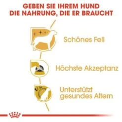 ROYAL CANIN Yorkshire Terrier Adult 1,5 Kg -Hochwertiger Tierbedarfsladen 55eb2ddc01e728035ce25d3d59cb02ce64bf6a83 c56235c0f78a67c501b179d41a4f1def2392c063