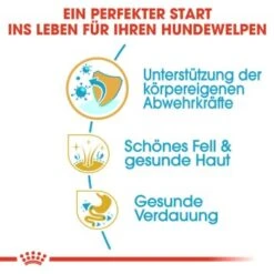 ROYAL CANIN Shih Tzu Puppy 1,5kg 16 ROYAL CANIN Shih Tzu Puppy 1,5kg -Hochwertiger Tierbedarfsladen 56d85e3b7a854f0c3c469e43d2c3c37f7c39b9f9 bd7c3ec6924c08deee4e224cb6dc47b8888a62ab