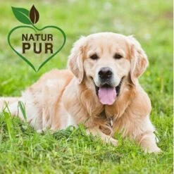 Fit-Crock Classic Lamm Maxi -Hochwertiger Tierbedarfsladen 572aa89bc910e31893995e44aa05ef340fdfa24c 1687099 de DE f696ec27369198bd4394c88715b6b073e090c44aFcn83B