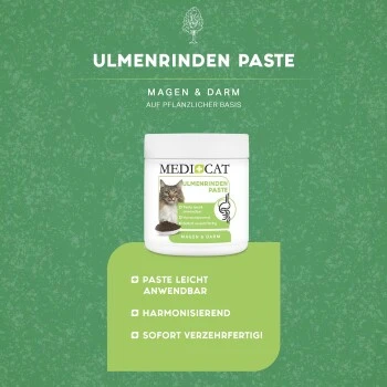 MediCat Ulmenrinde Paste 6 MediCat Ulmenrinde Paste – Bild 4