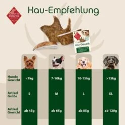 ChronoBalance Kaugeweih Damhirsch (M) 2er Paket -Hochwertiger Tierbedarfsladen 57acc83555b5acdda0b097484c97cdc1d684de42 1418696 de DE 9d0fae21483906190d35a659049e257a0043b15eNTLJzl