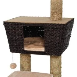 Europet Bernina Europet Kratzbaum Grenada 13 Europet Bernina Europet Kratzbaum Grenada -Hochwertiger Tierbedarfsladen 57b4fe1263668d3b28bd8ad1ba159d2b5d8f74cd d36d01eb9524ab44314e624eaa1a446e2cba33a6