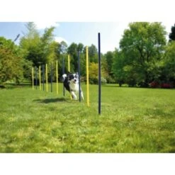 AniOne Agility Set -Hochwertiger Tierbedarfsladen 57d0a4066068001e9199a8836922b7a9a69a9a13 5b90fc3282e3f36a151043eb4999c7a431fb4558