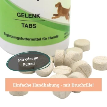 BeG Buddy Gelenk Fit Tabletten 7 BeG Buddy Gelenk Fit Tabletten – Bild 5