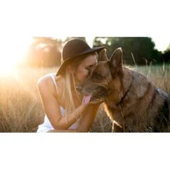 Mammaly Lucky Belly 110g -Hochwertiger Tierbedarfsladen 5a807df878e131f7784ceaf9042f54c56ded6f60 1472889 6